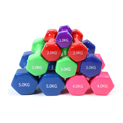 hexagonal-cast-iron-hex-rubber-dumbbells_774938.png