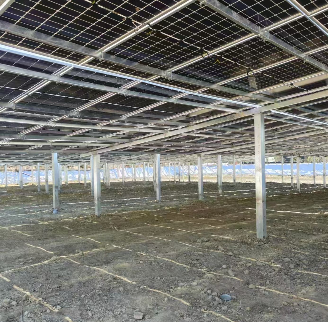 Top Solar Steel Structure Supplier from China for Renewable Energy Projects
