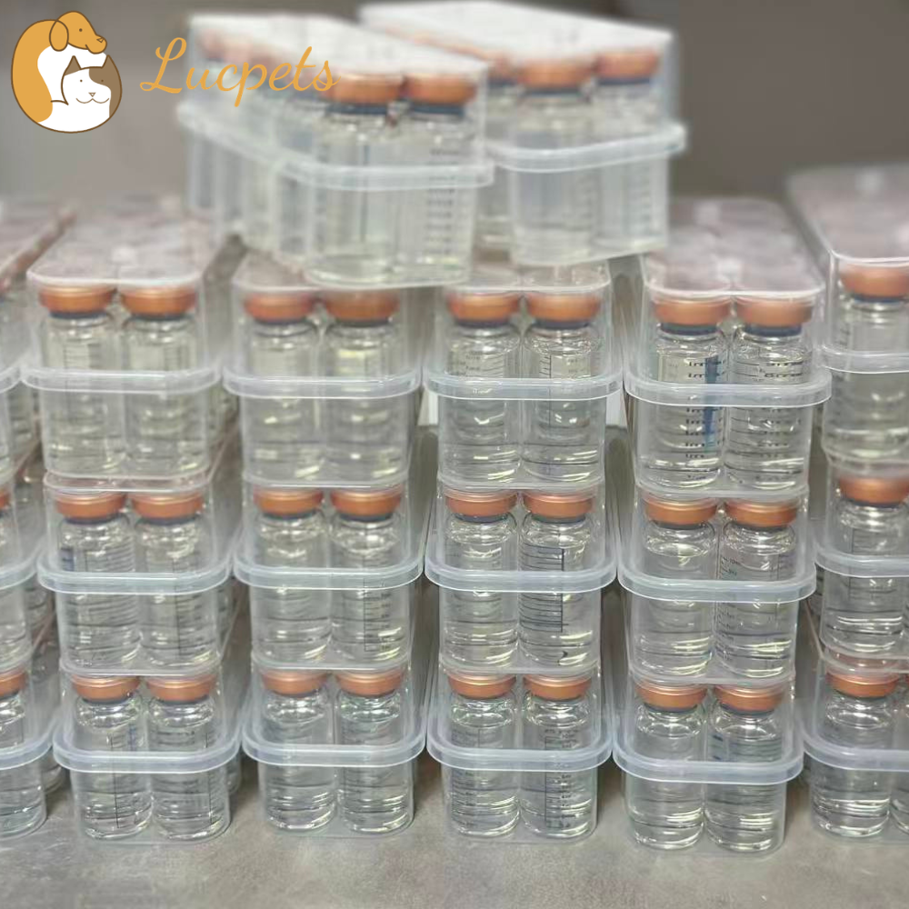 Feline GS-441524 Exporter Providing Quality Treatment Solutions Worldwide